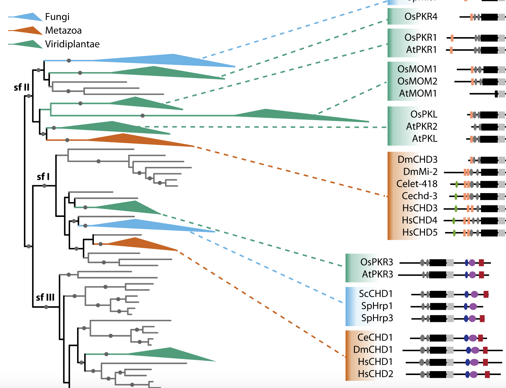 figure from Trujillo et al. 2022